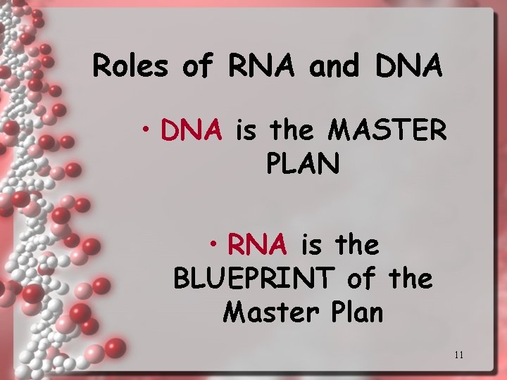 Roles of RNA and DNA • DNA is the MASTER PLAN • RNA is Roles of RNA and DNA • DNA is the MASTER PLAN • RNA is
