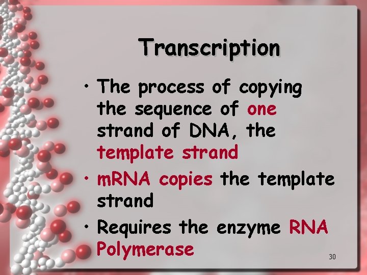 Transcription • The process of copying the sequence of one strand of DNA, the Transcription • The process of copying the sequence of one strand of DNA, the