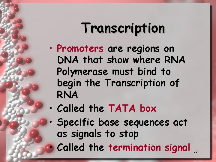 Transcription • Promoters are regions on DNA that show where RNA Polymerase must bind Transcription • Promoters are regions on DNA that show where RNA Polymerase must bind