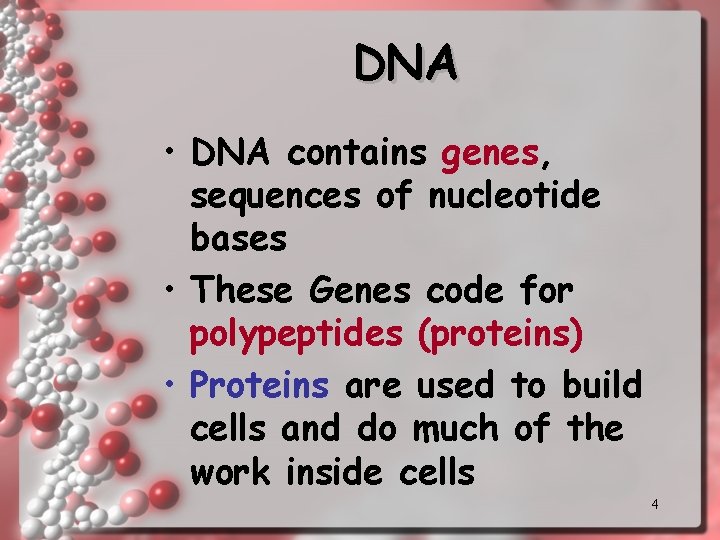 DNA • DNA contains genes, sequences of nucleotide bases • These Genes code for DNA • DNA contains genes, sequences of nucleotide bases • These Genes code for