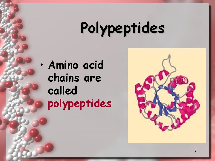 Polypeptides • Amino acid chains are called polypeptides 7 Polypeptides • Amino acid chains are called polypeptides 7
