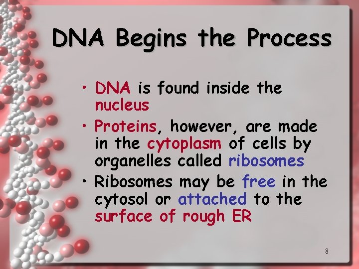 DNA Begins the Process • DNA is found inside the nucleus • Proteins, however, DNA Begins the Process • DNA is found inside the nucleus • Proteins, however,