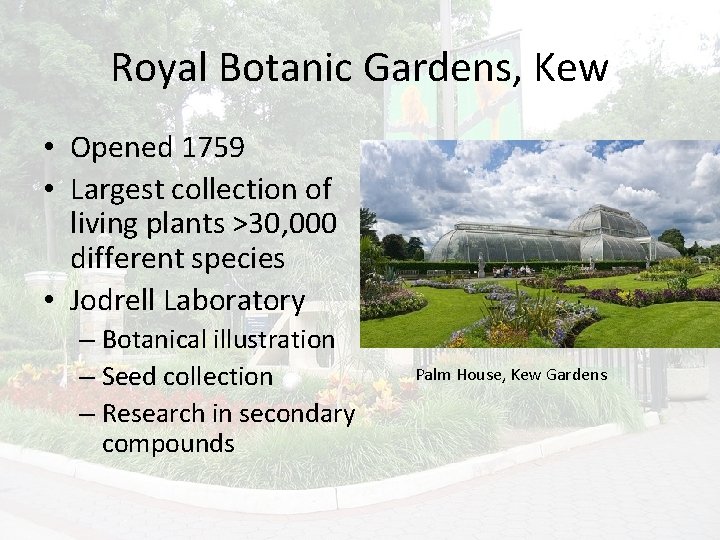 Royal Botanic Gardens, Kew • Opened 1759 • Largest collection of living plants >30,