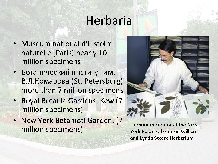Herbaria • Muséum national d'histoire naturelle (Paris) nearly 10 million specimens • Ботанический институт