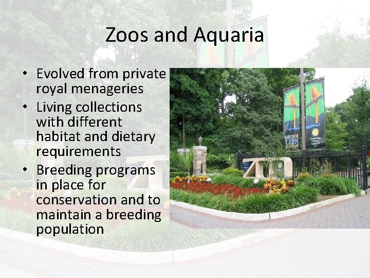 Zoos and Aquaria • Evolved from private royal menageries • Living collections with different