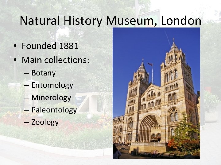 Natural History Museum, London • Founded 1881 • Main collections: – Botany – Entomology