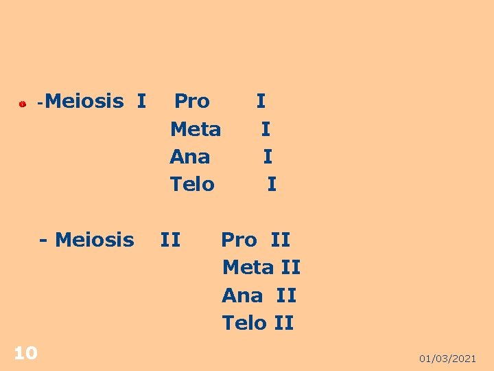 -Meiosis - Meiosis 10 I Pro Meta Ana Telo II I I Pro II