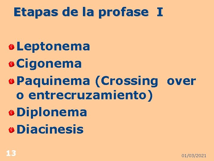 Etapas de la profase I Leptonema Cigonema Paquinema (Crossing over o entrecruzamiento) Diplonema Diacinesis