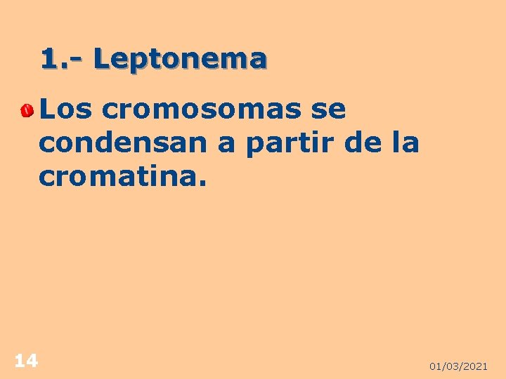 1. - Leptonema Los cromosomas se condensan a partir de la cromatina. 14 01/03/2021