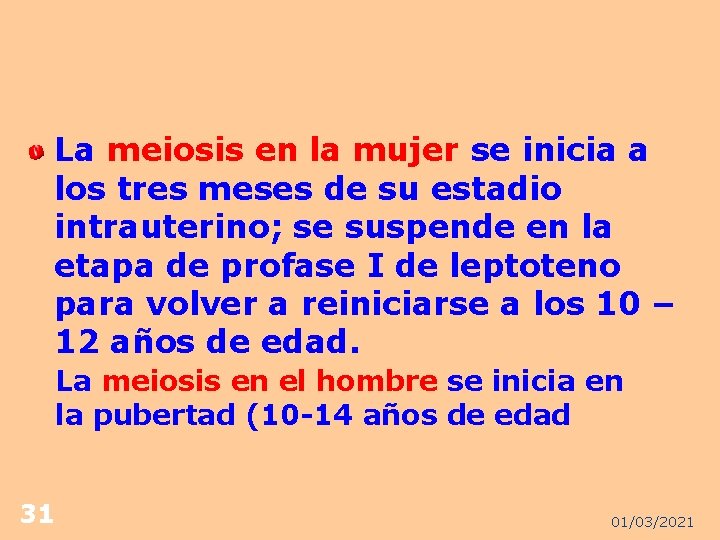 La meiosis en la mujer se inicia a los tres meses de su estadio