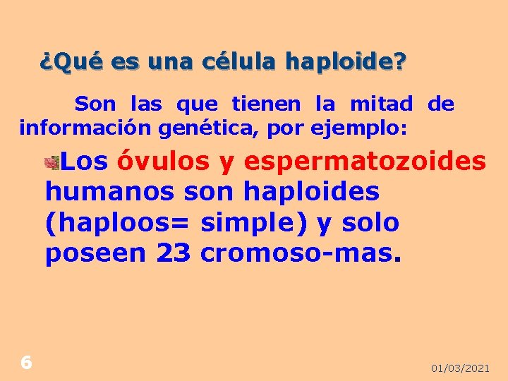 ¿Qué es una célula haploide? Son las que tienen la mitad de información genética,