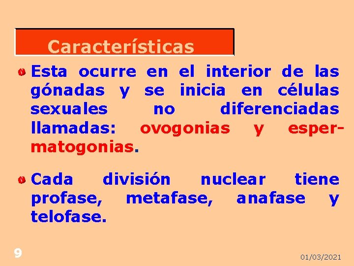 Características Esta ocurre en el interior de las gónadas y se inicia en células