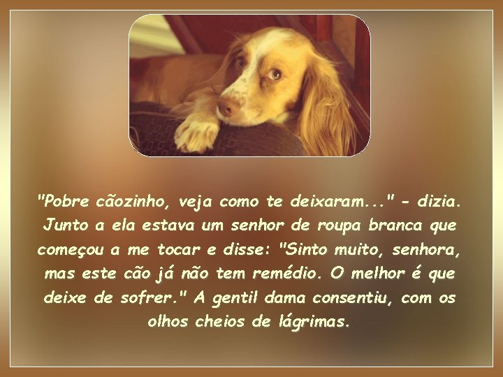 "Pobre cãozinho, veja como te deixaram. . . " - dizia. Junto a ela