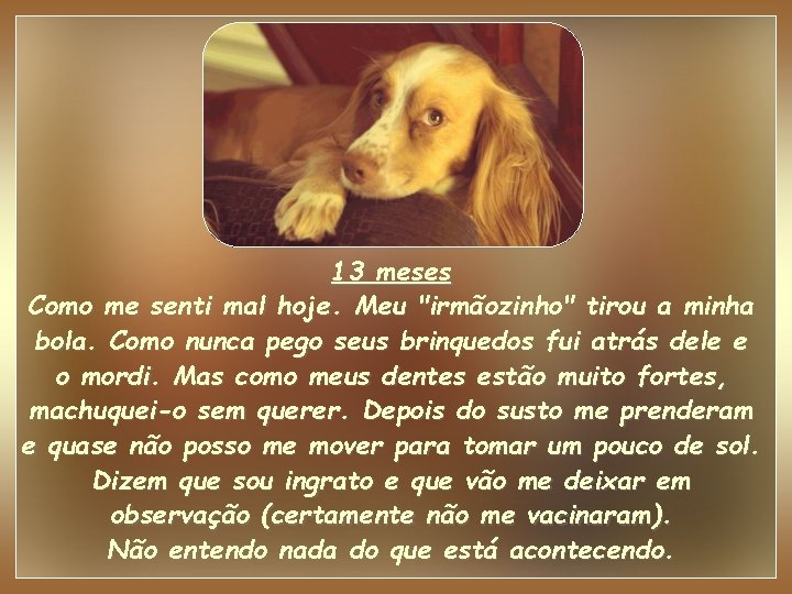 13 meses Como me senti mal hoje. Meu "irmãozinho" tirou a minha bola. Como