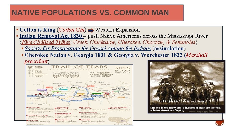 NATIVE POPULATIONS VS. COMMON MAN § Cotton is King (Cotton Gin) Western Expansion §