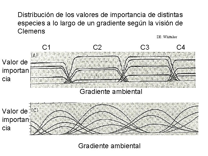 Distribución de los valores de importancia de distintas especies a lo largo de un