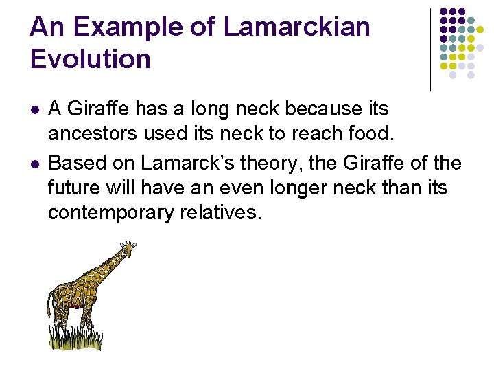 An Example of Lamarckian Evolution l l A Giraffe has a long neck because