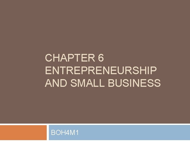 CHAPTER 6 ENTREPRENEURSHIP AND SMALL BUSINESS BOH 4 M 1 