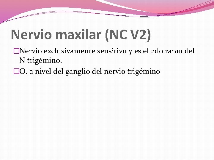 Nervio maxilar (NC V 2) �Nervio exclusivamente sensitivo y es el 2 do ramo