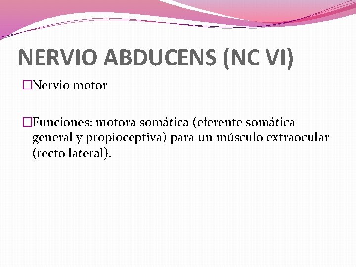 NERVIO ABDUCENS (NC VI) �Nervio motor �Funciones: motora somática (eferente somática general y propioceptiva)