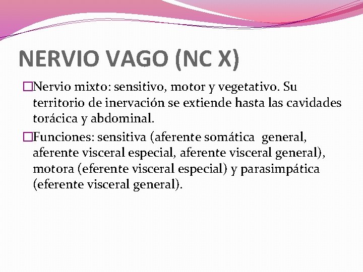 NERVIO VAGO (NC X) �Nervio mixto: sensitivo, motor y vegetativo. Su territorio de inervación