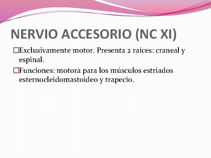 NERVIO ACCESORIO (NC XI) �Exclusivamente motor. Presenta 2 raíces: craneal y espinal. �Funciones: motora