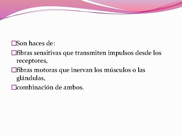 �Son haces de: �fibras sensitivas que transmiten impulsos desde los receptores, �fibras motoras que