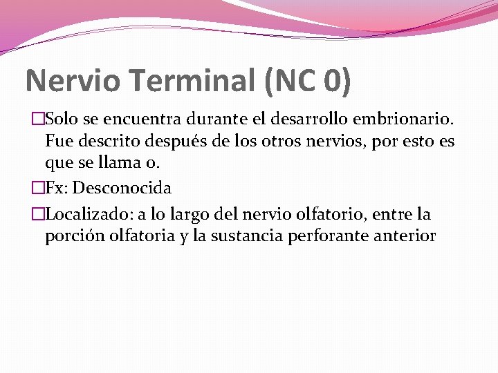 Nervio Terminal (NC 0) �Solo se encuentra durante el desarrollo embrionario. Fue descrito después