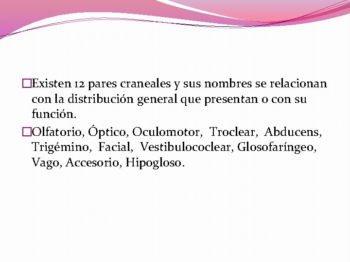 �Existen 12 pares craneales y sus nombres se relacionan con la distribución general que