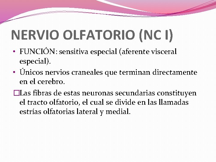 NERVIO OLFATORIO (NC I) • FUNCIÓN: sensitiva especial (aferente visceral especial). • Únicos nervios