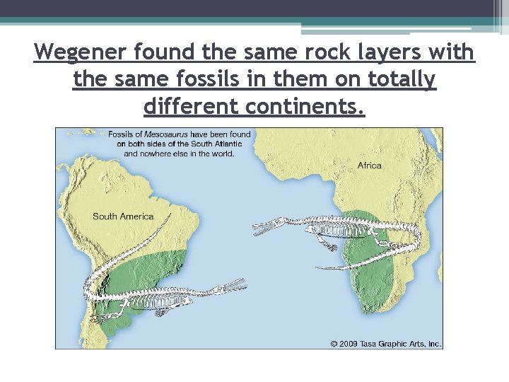 Wegener found the same rock layers with the same fossils in them on totally