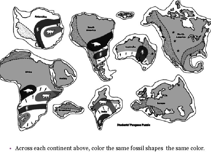 Puzzling evidense… • Across each continent above, color the same fossil shapes the same