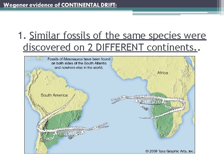 1. Similar fossils of the same species were discovered on 2 DIFFERENT continents. .