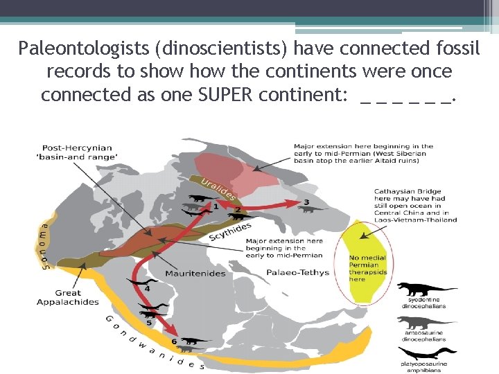 Paleontologists (dinoscientists) have connected fossil records to show the continents were once connected as