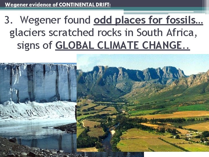 3. Wegener found odd places for fossils… glaciers scratched rocks in South Africa, signs