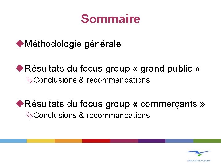 Sommaire Méthodologie générale Résultats du focus group « grand public » ÄConclusions & recommandations