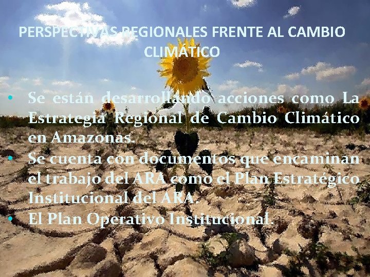 PERSPECTIVAS REGIONALES FRENTE AL CAMBIO CLIMÁTICO • Se están desarrollando acciones como La Estrategia