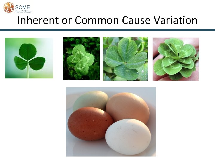 Inherent or Common Cause Variation 