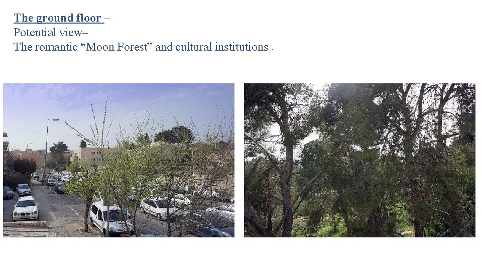 The ground floor – Potential view– The romantic “Moon Forest” and cultural institutions. 