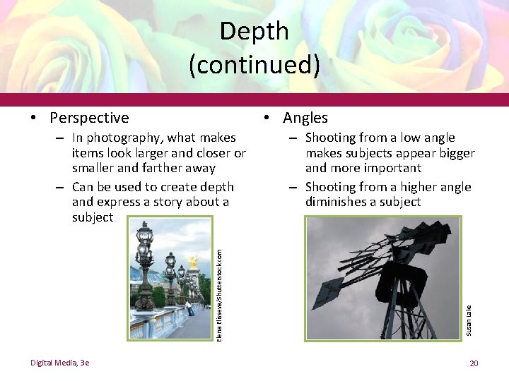 Depth (continued) • Angles Elena Elisseva/Shutterstock. com – In photography, what makes items look Depth (continued) • Angles Elena Elisseva/Shutterstock. com – In photography, what makes items look