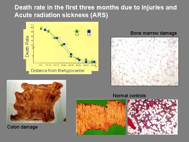 Death rate in the first three months due to injuries and Acute radiation sickness