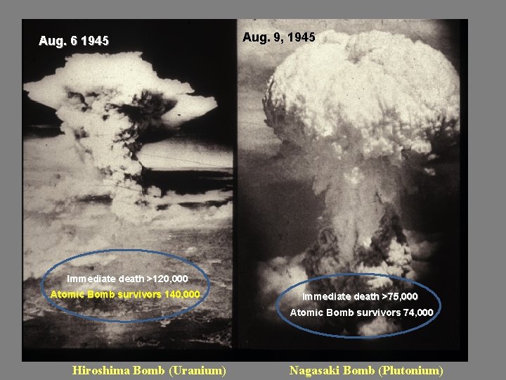 Aug. 6 1945 Aug. 9, 1945 Immediate death >120, 000 Atomic Bomb survivors 140,