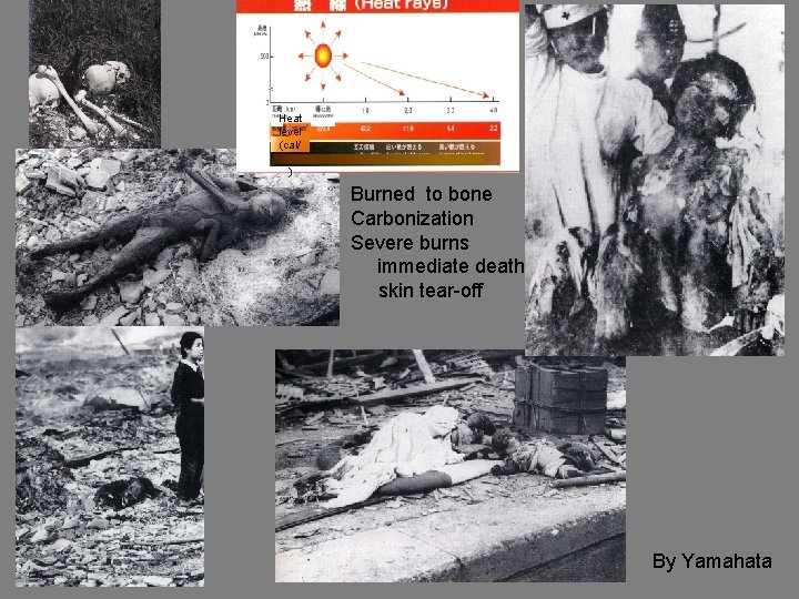 Heat rays ２０００～５００℃ Heat level (cal/ cm 2) ) Burned to bone Carbonization Severe