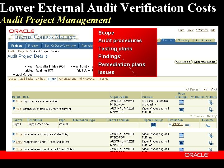 Lower External Audit Verification Costs Audit Project Management Scope Audit procedures Testing plans Findings