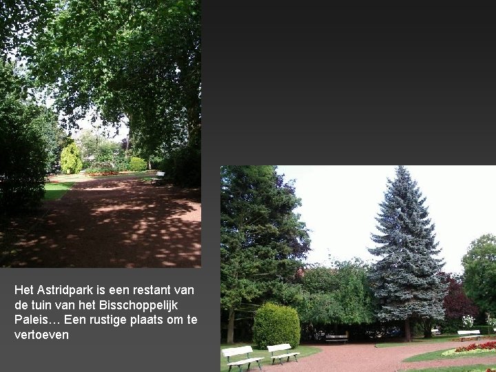 Het Astridpark is een restant van de tuin van het Bisschoppelijk Paleis… Een rustige