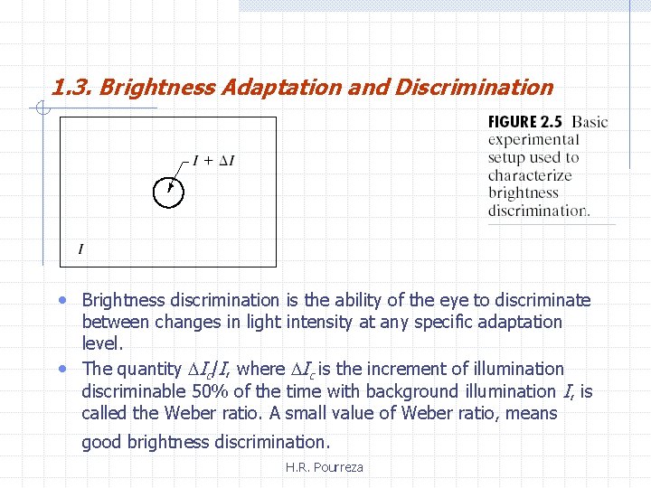 1. 3. Brightness Adaptation and Discrimination • Brightness discrimination is the ability of the