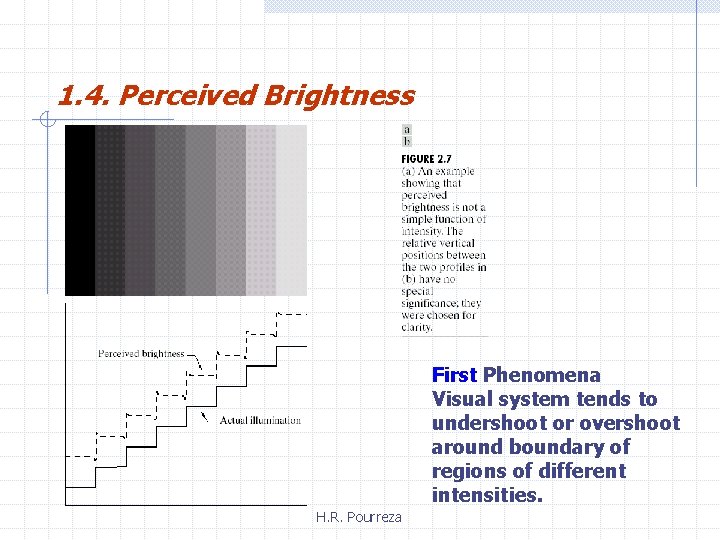 1. 4. Perceived Brightness First Phenomena Visual system tends to undershoot or overshoot around
