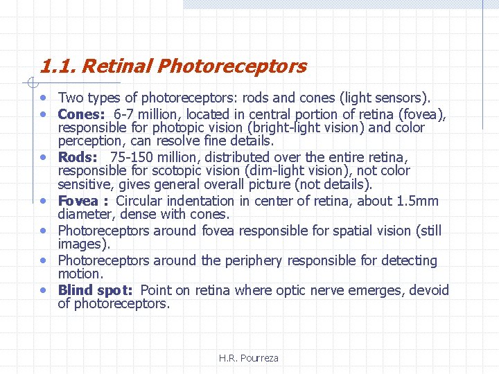 1. 1. Retinal Photoreceptors • Two types of photoreceptors: rods and cones (light sensors).