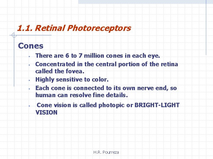 1. 1. Retinal Photoreceptors Cones • • • There are 6 to 7 million