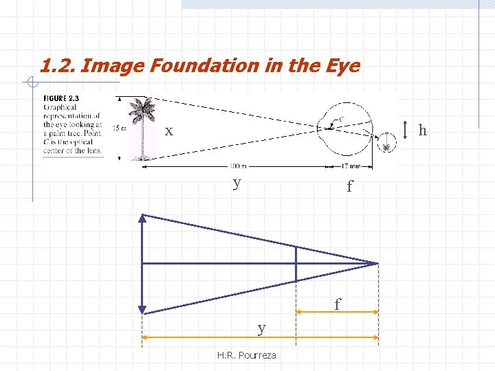 1. 2. Image Foundation in the Eye x h y f f y H.